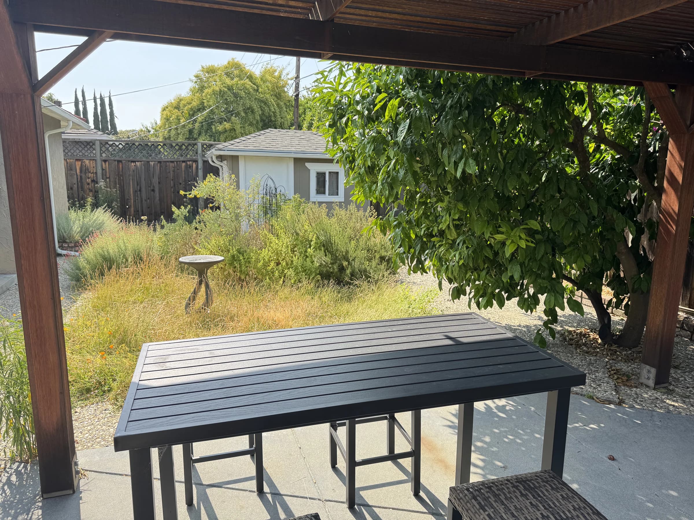View from the existing pergola across the original lawn and concrete garden edge