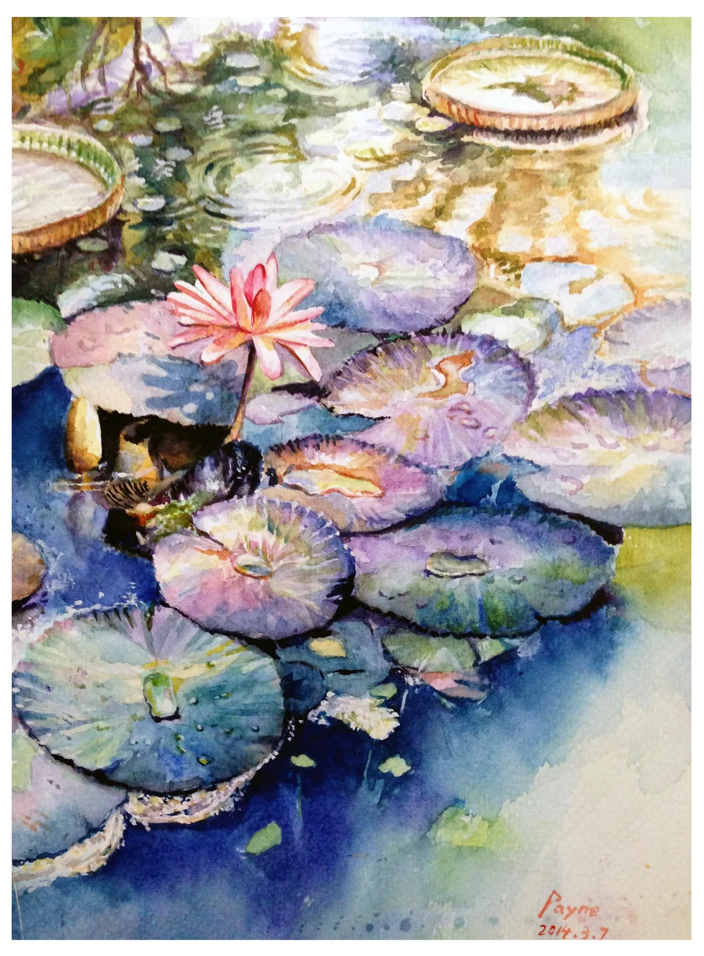Lotus