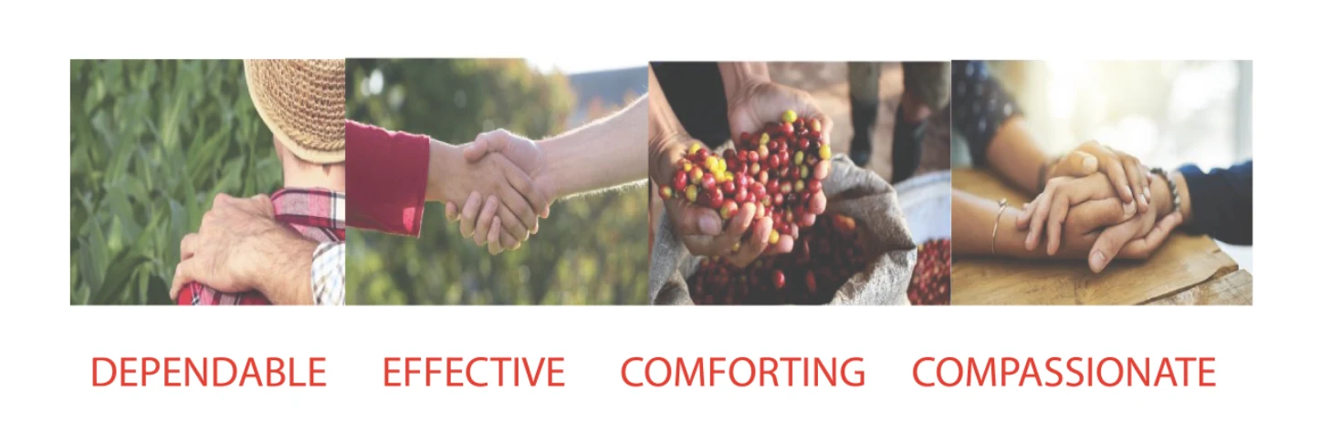 Rebranding Folgers Coffee — project image 18.1