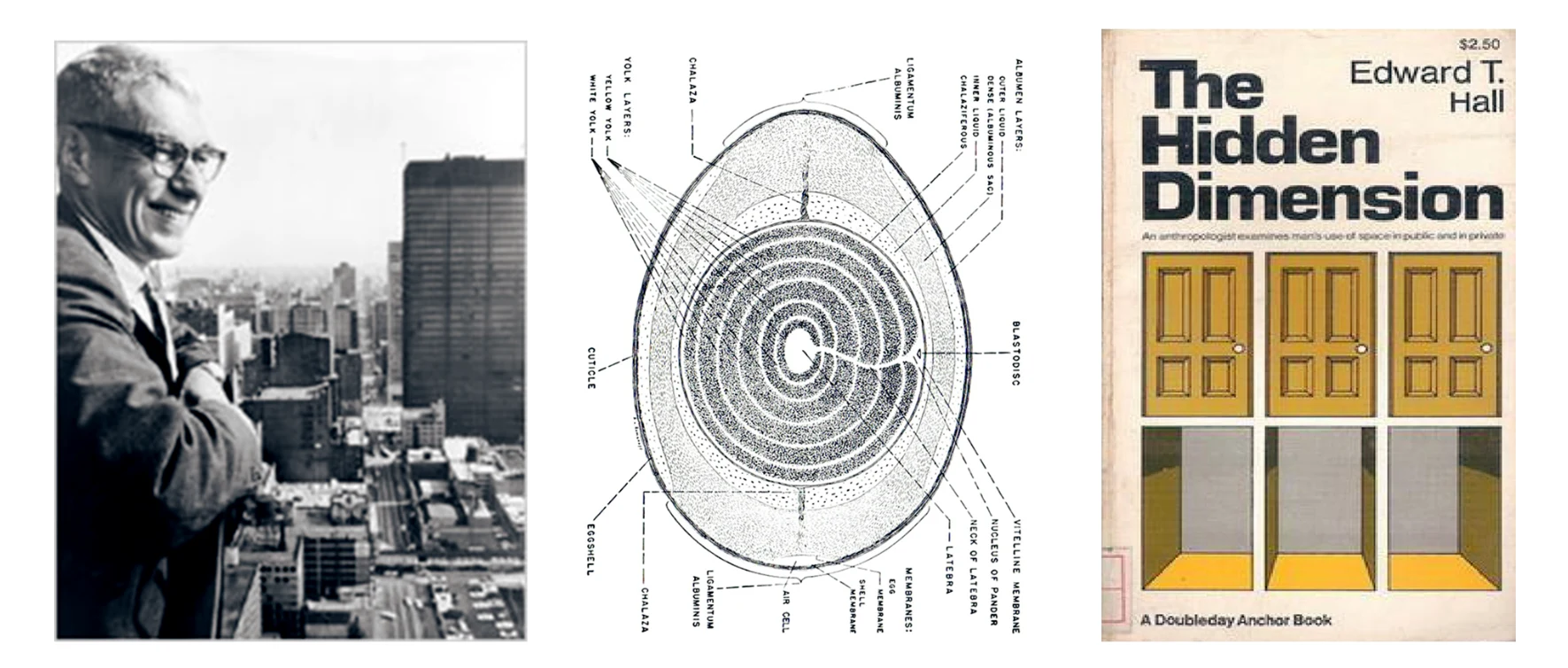 Breathing Light — project image 8.1