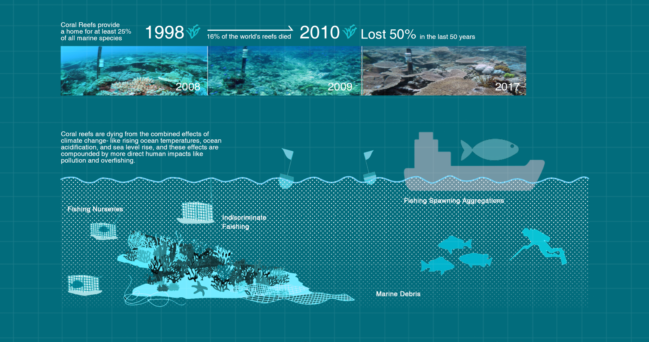 Coral reefs data visualization